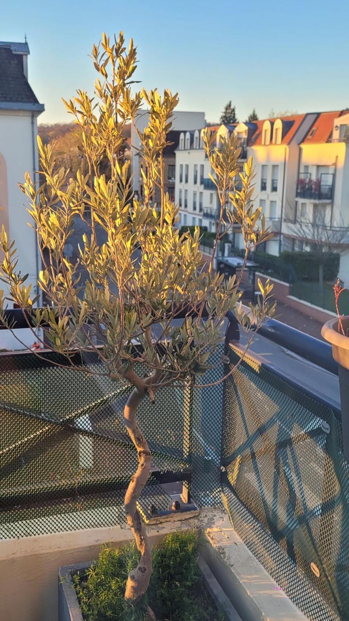 Duplex Art Place, Olympics 2024 Les Clayes-Sous-Bois Esterno foto